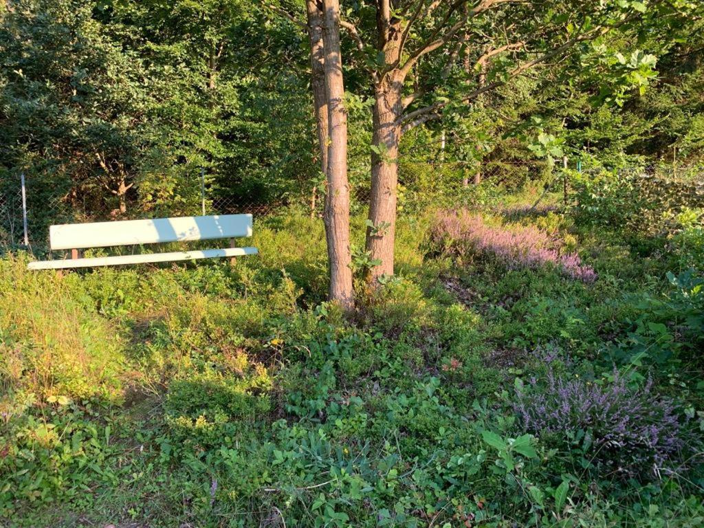 Gaestehaus Hochrhoenblick Schönau an der Brend Eksteriør bilde
